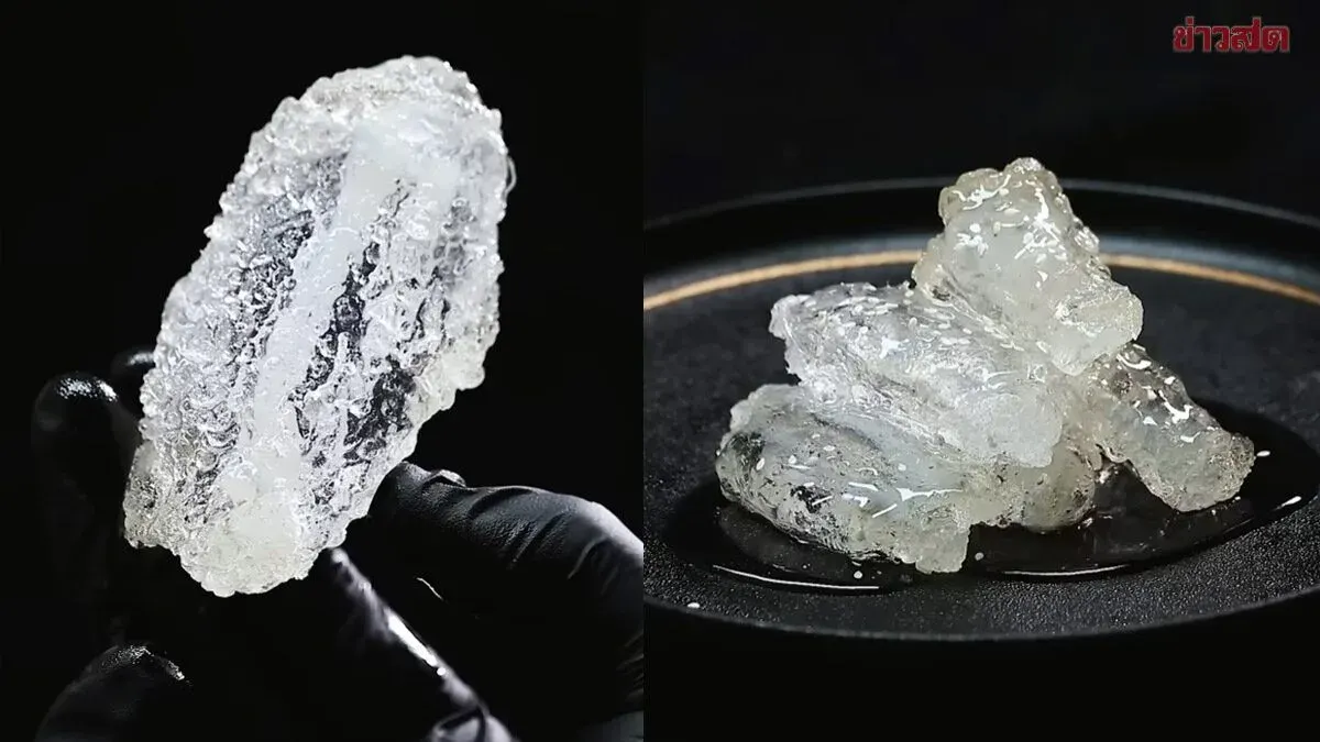 Shocking! 'Crystal Clear Fried Chicken' Looks Like Glass—the Viral Creation of a Chinese Food Blogger