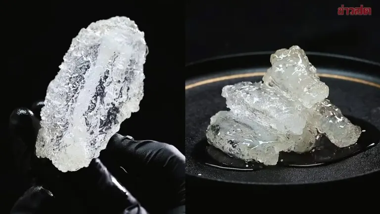 Shocking! 'Crystal Clear Fried Chicken' Looks Like Glass—the Viral Creation of a Chinese Food Blogger