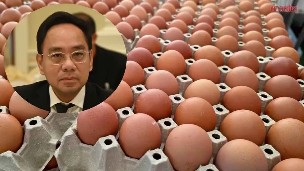 Egg Supply Sufficient, Officials Debunk Export Shortage Claims
