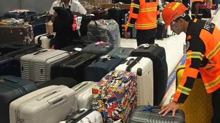 Thai Airways Rushes Baggage Delivery for 52 Delayed Flights
