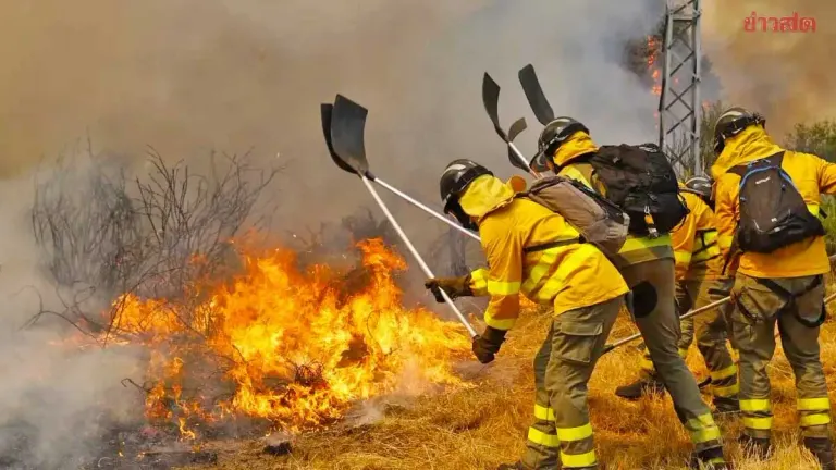 Spain Wildfire Kills 12 As Heat Wave Intensifies