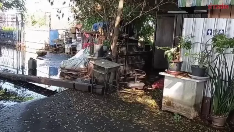 Former Village Headman Flooded Fish Pond Business Seeks Aid