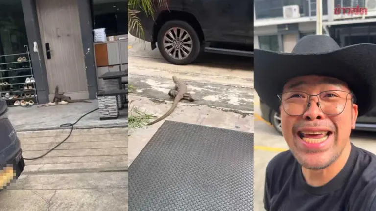 Snake Invades Home, Lottery Seekers Hunt For Lucky Numbers