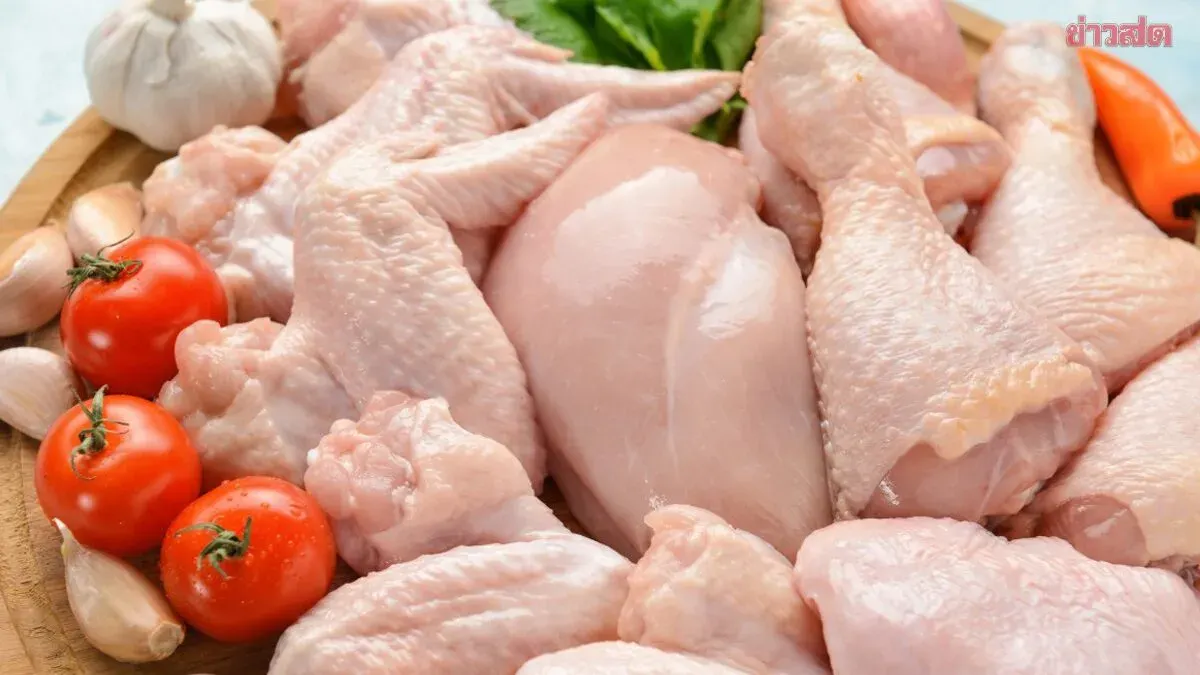 Poultry Association Chief Opposes Chinese Chicken Imports