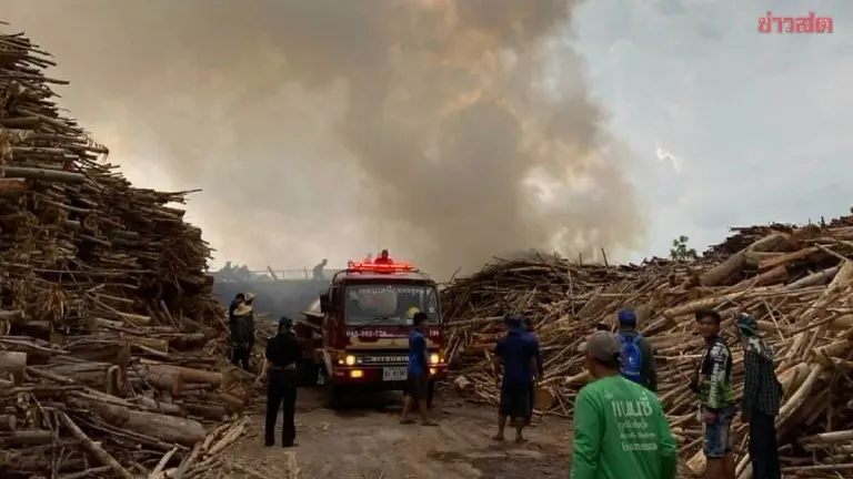 Massive Fire Breaks Out at Eucalyptus Lumber Yard; Firefighters Battle Two-Hour Blaze, Suspected Sky Lantern Blamed