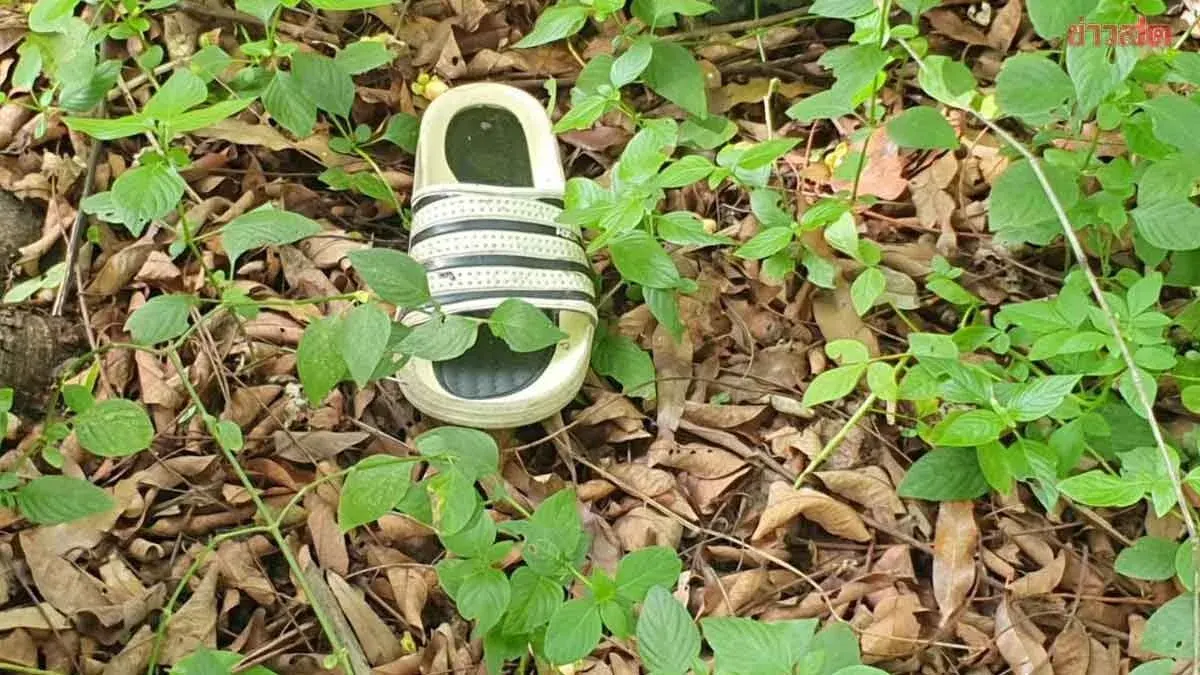 21-Year-Old Man Loses All Savings to Online Slots, Takes His Own Life in the Forest