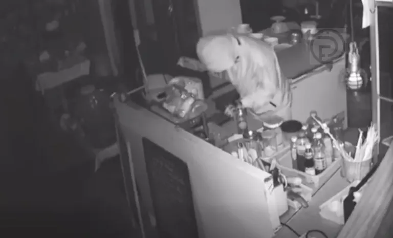 Police Nab Teen Serial Burglar in Wichit