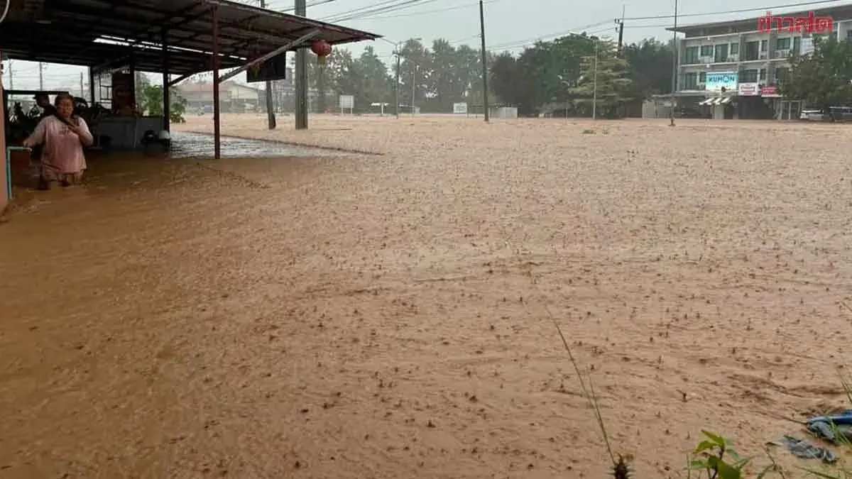 Agriculture Minister Cancels Schedule to Tackle Nan Flooding