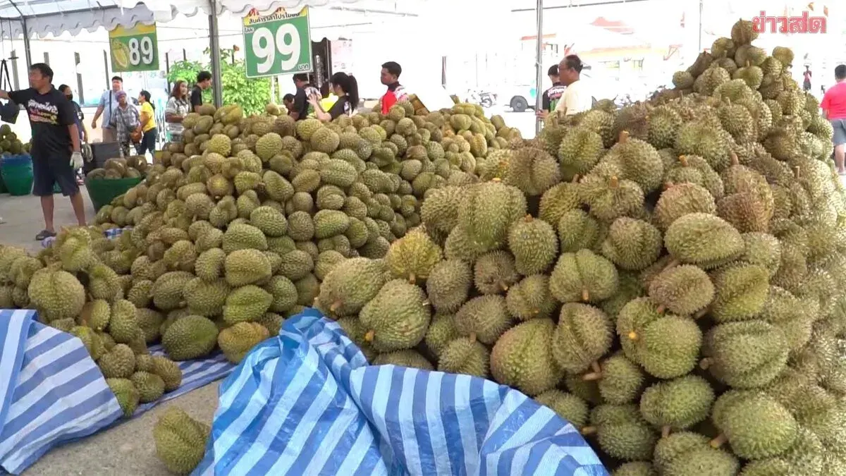 Jae Da Slashes Prices with Durian Deal at 1 Baht Each, Lines Wrap Around Chai Nat Bird Park