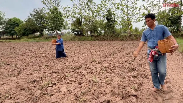 Khon Kaen Farmers Choose an Auspicious Day for Crop Blessing Ceremony to Plant Rice, Hoping for Abundant Harvest