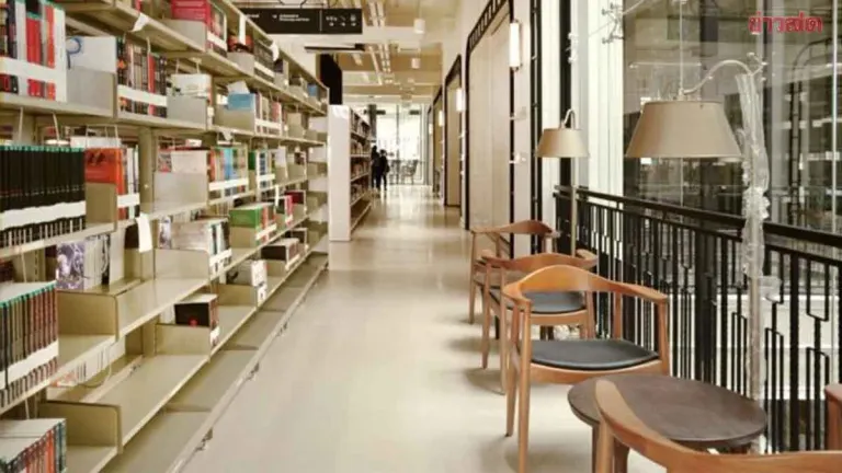 Library Association Chief Opposes Government Plan to Cut Librarian Posts
