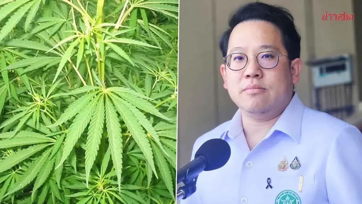Cabinet Approves Stricter Cannabis Control Bill