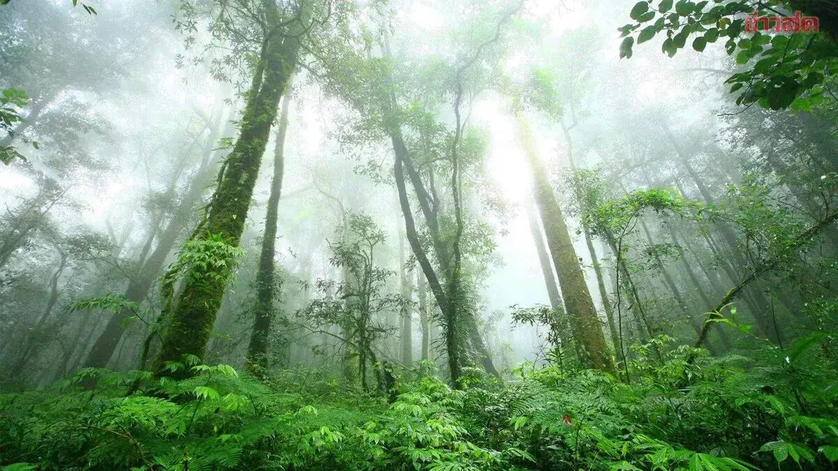 Thailand Pushes Doi Inthanon to Become 11th ASEAN Heritage Park