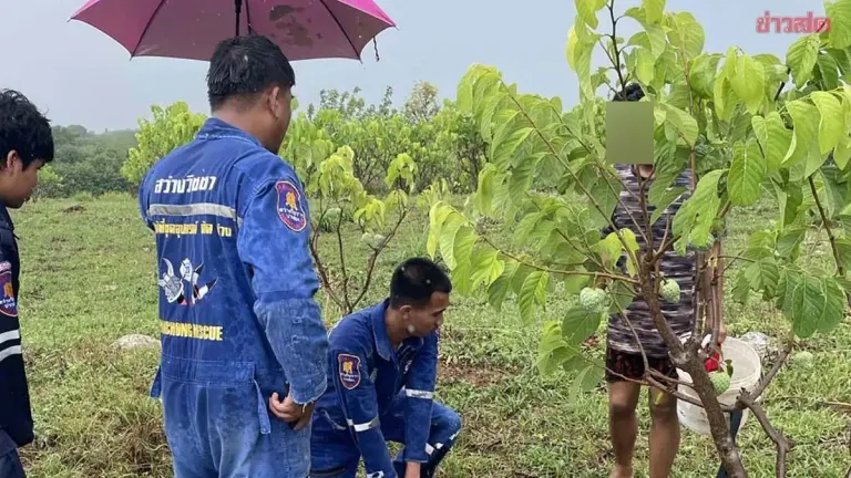 Tragic: 51-Year-Old Man Struck and Killed by Lightning While Fertilizing Field During Thunderstorm