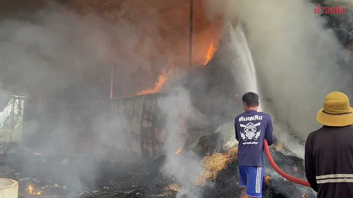 Hay Barn Fire Destroys Over 2,000 Bales, Losses Exceed Half a Million Baht; Owner Suspects Lightning Strike