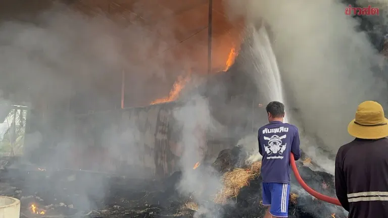 Hay Barn Fire Destroys Over 2,000 Bales, Losses Exceed Half a Million Baht; Owner Suspects Lightning Strike