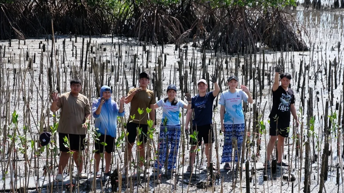 Below the Tides Plants Mangroves With Youth and Community