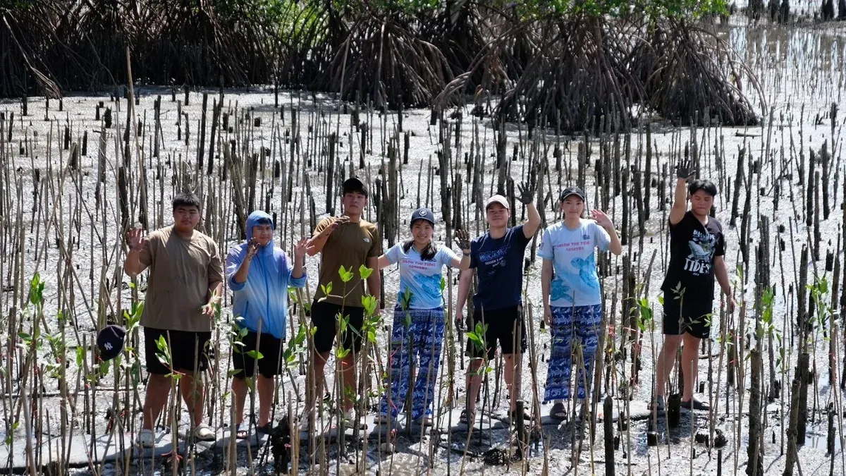 Below the Tides Plants Mangroves With Youth and Community