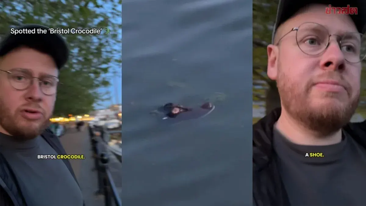 Hold Up! Wildlife Documentary Filmmaker Nearly Falls for 'Bristol Crocodile' That Was Actually a Wet Shoe