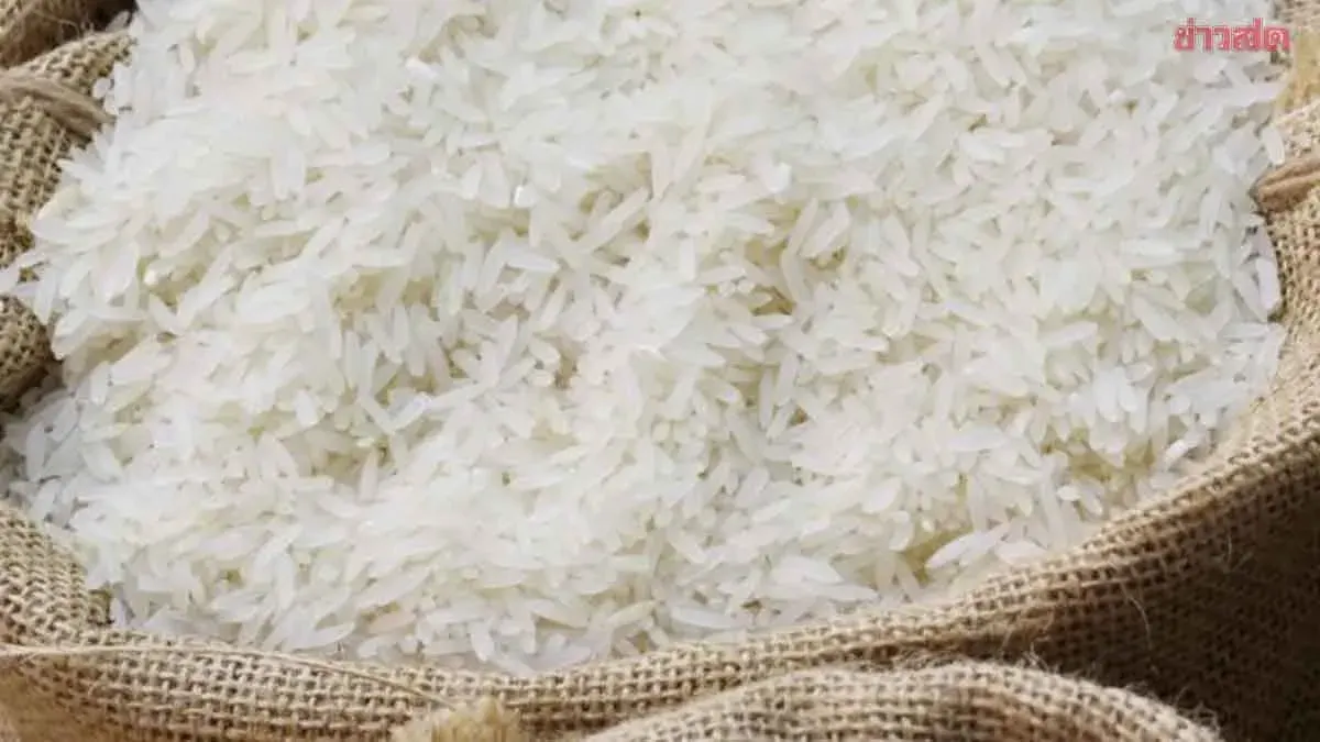 Thai Rice Exports Recover in Q1 with 2.87% Growth, But Price Declines Drag Revenue Down to 32 Billion Baht