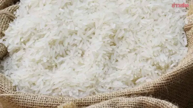 Thai Rice Exports Recover in Q1 with 2.87% Growth, But Price Declines Drag Revenue Down to 32 Billion Baht