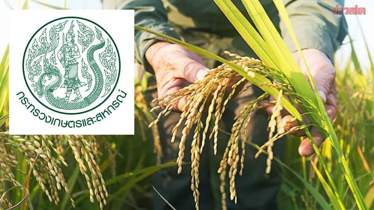 Agriculture Ministry Rejects Plant Variety Treaty If It Harms Thai Farmers
