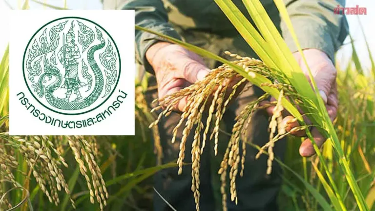 Agriculture Ministry Rejects Plant Variety Treaty If It Harms Thai Farmers