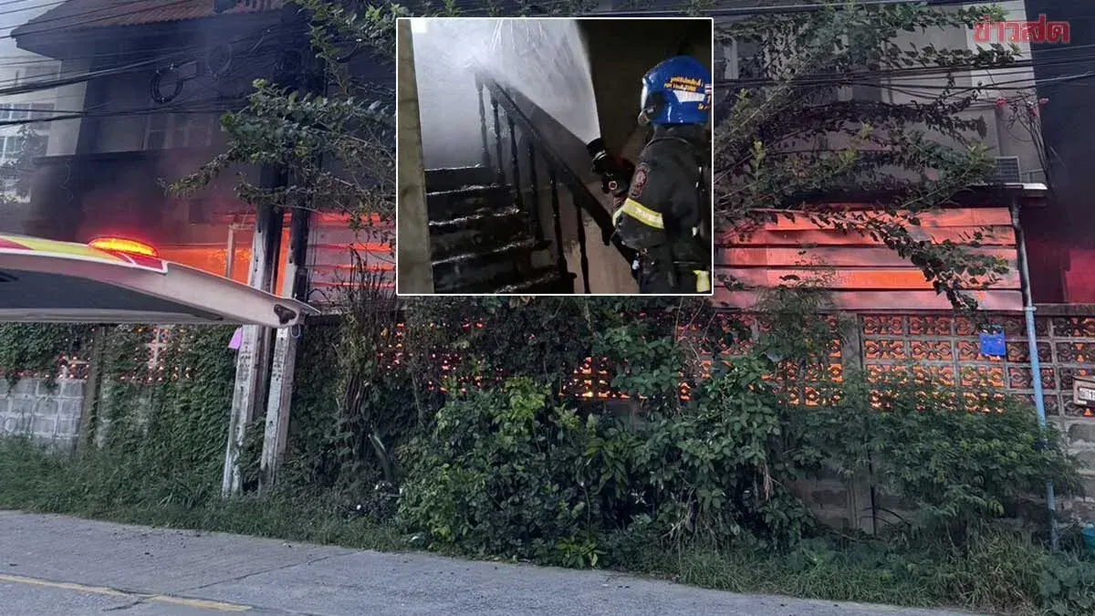 Fire Kills Two in Three-Story Bangkok Home, 30 Cats Dead