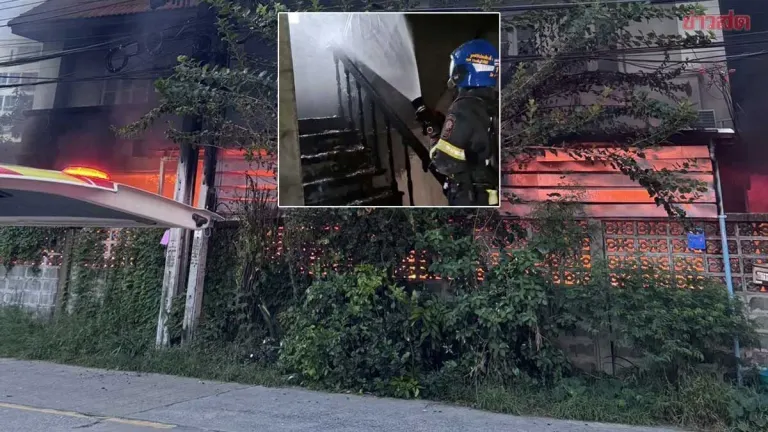 Fire Kills Two in Three-Story Bangkok Home, 30 Cats Dead