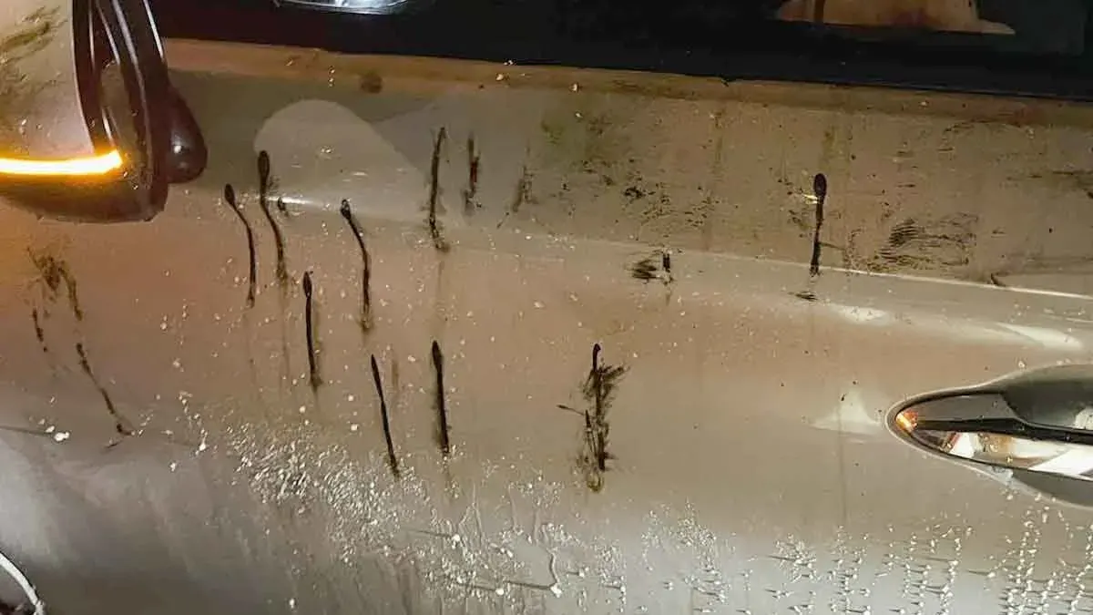 73 Vehicle Damage Reports Filed After Tire Debris Falls on Rama 9 Road