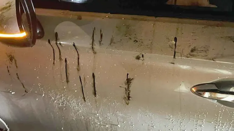 73 Vehicle Damage Reports Filed After Tire Debris Falls on Rama 9 Road