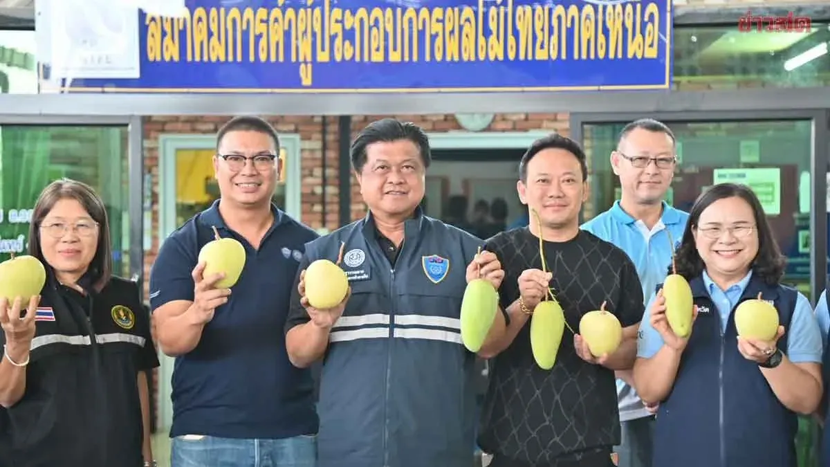 Internal Trade Department Plans to Distribute Mangoes and Longans, Link Markets to Stabilize Prices