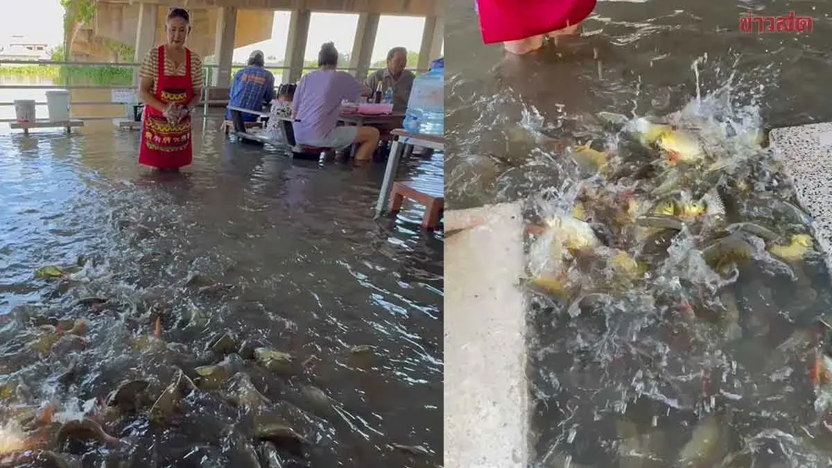 Flooded Noodle Shop Revives Unique Dining Experience in Nakhon Pathom