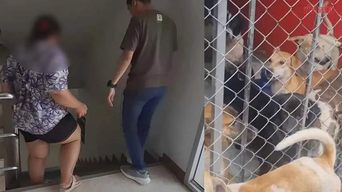 Woman Arrested Selling Methamphetamine to Feed 40 Dogs