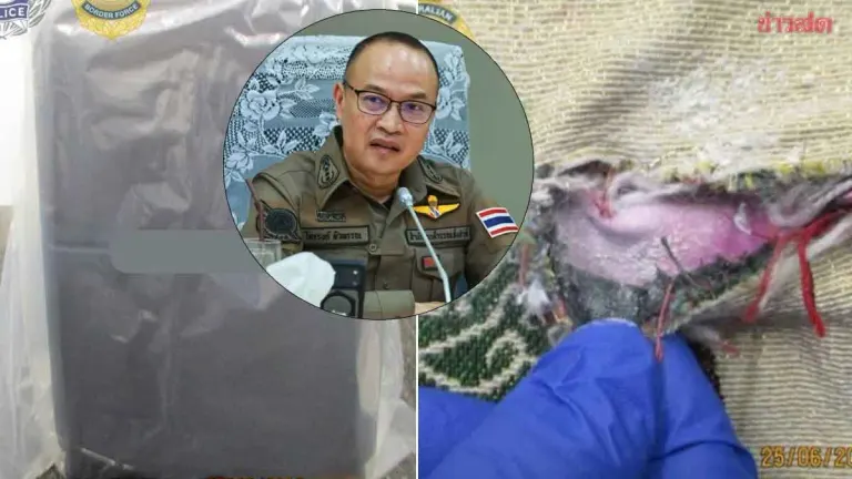Police Spokesman Confirms Thai Airways Flight Attendant Detained in Australia Through AFP Coordination