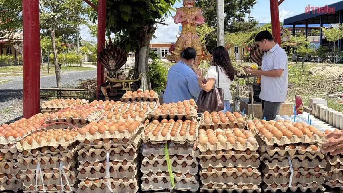 Man Offers 8,900 Eggs at Shrine After Ten Lottery Wins