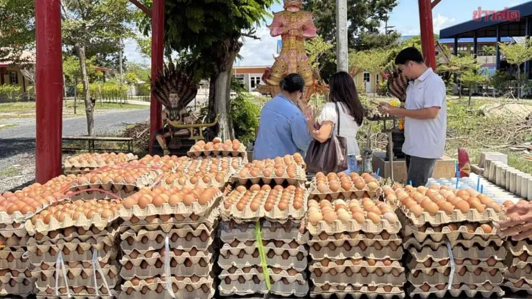 Man Offers 8,900 Eggs at Shrine After Ten Lottery Wins