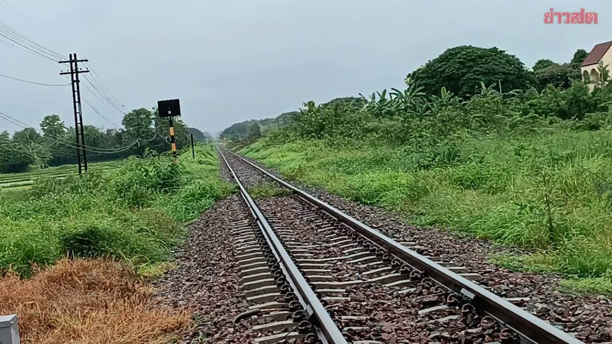 Man Struck by Train Dies Despite Warning Whistle
