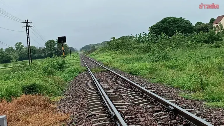 Man Struck by Train Dies Despite Warning Whistle