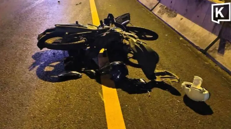 Motorcyclist Killed After Dog Collision and Truck Strike