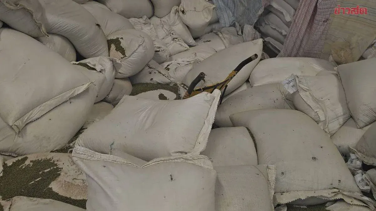 Husband Killed as Mung Bean Sacks Collapse in Warehouse