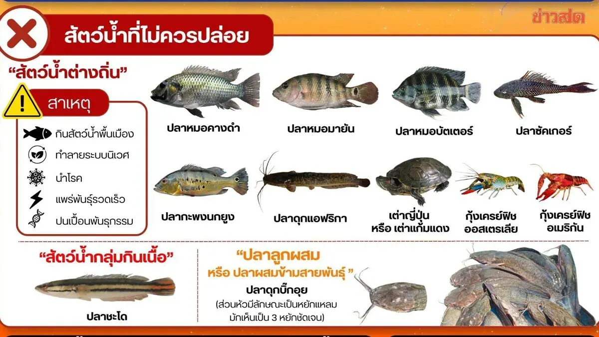 Fisheries Department Warns Against Releasing Non-Native Fish Species