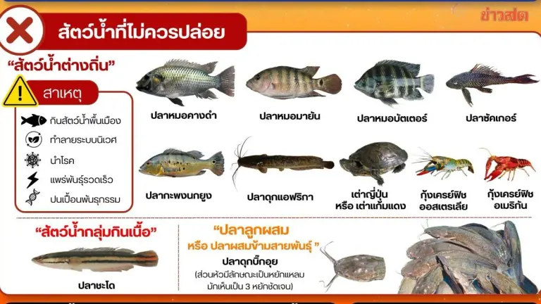 Fisheries Department Warns Against Releasing Non-Native Fish Species