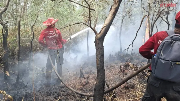 Minister Orders Intensified Wildfire Control at Kruen Marsh