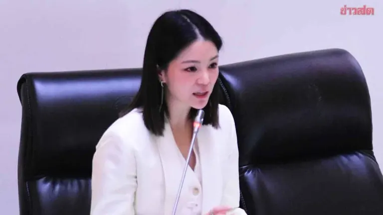Lawmaker Challenges 500-Million-Baht Village Fund Budget