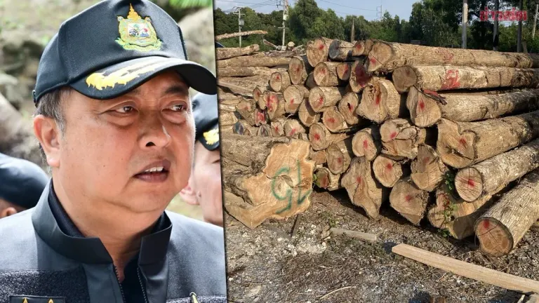 Suchart Orders Swift Action! Assigns Lt. Gen. Nantachat to Raid and Dismantle Major Illegal Lumber Mill in Suphan Buri