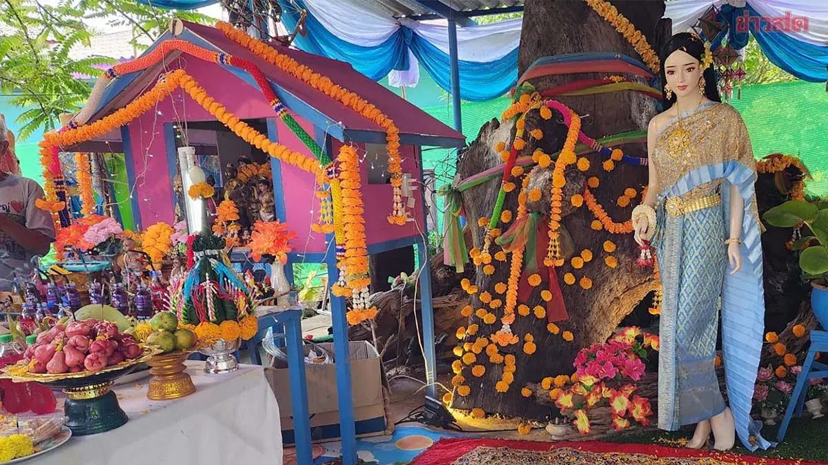 Lottery Enthusiasts Seek Lucky Numbers at Golden Tamarind Tree Spirit Ritual After Multiple Winning Draws