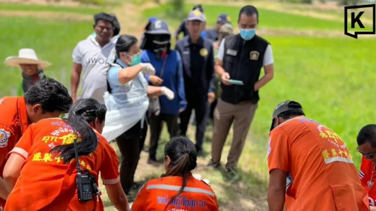 Man Found Dead in Rice Field, Suspected Heatstroke