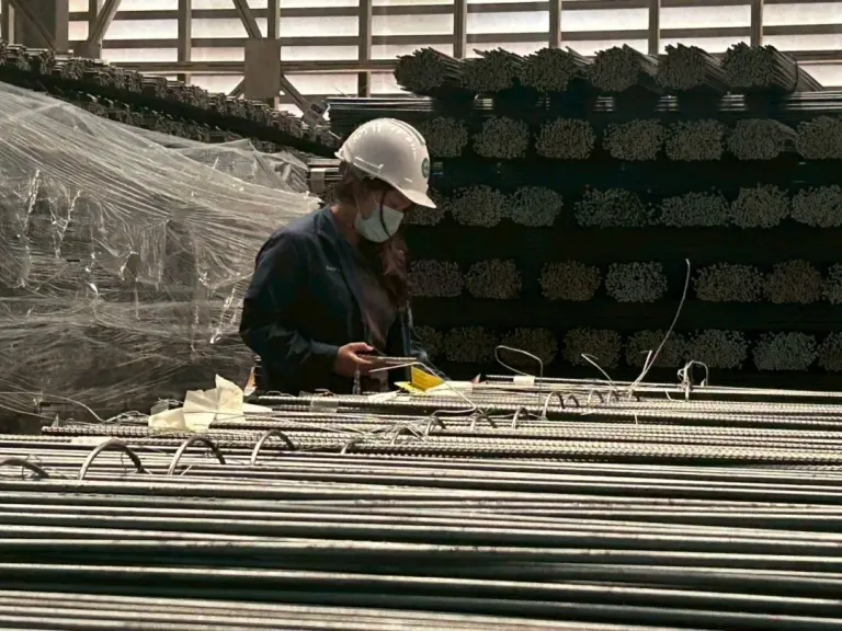 Steel Trade Association Urges Government Protection for New Standards