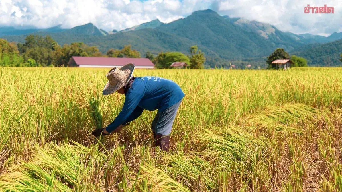 Agricultural Bank Reveals Debt Crisis: Over 400,000 Farmers Trapped Paying Interest Only